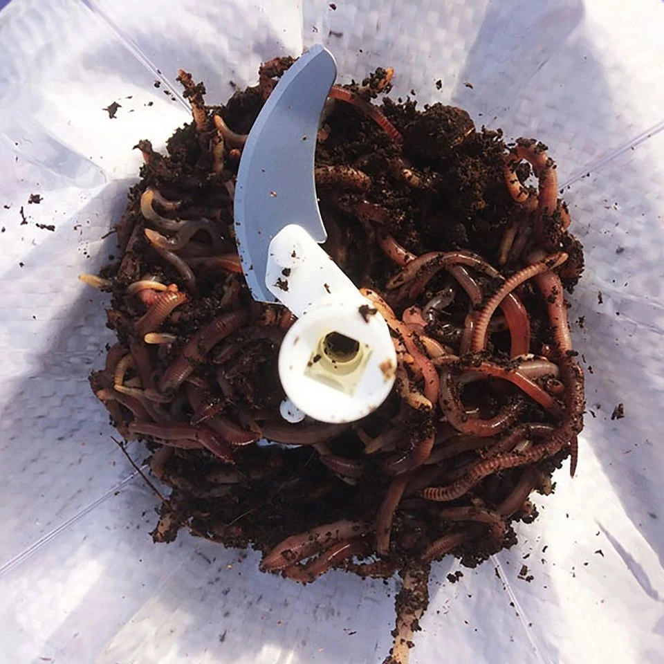 Worm Whizzer 4 Worm Whizzer - Image 2