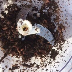 Worm Whizzer 8 Worm Whizzer -Outdoor Sports Store go 329123 c