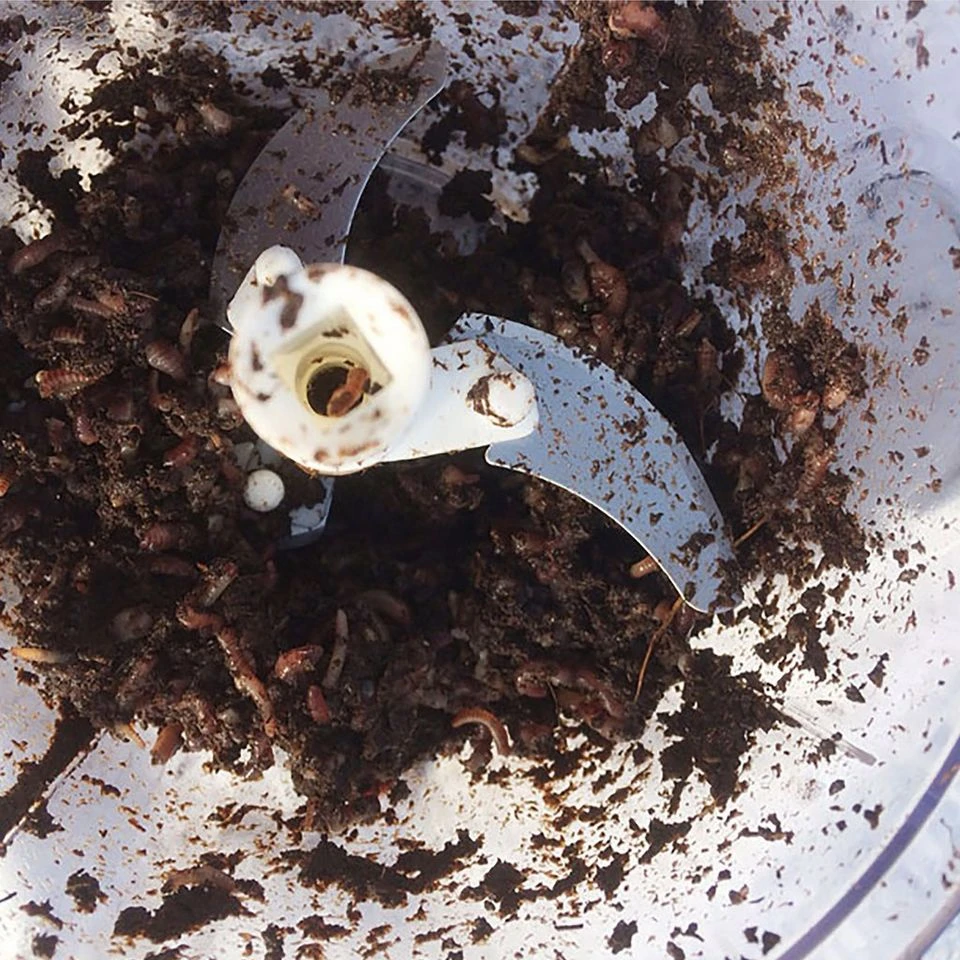 Worm Whizzer 5 Worm Whizzer - Image 3